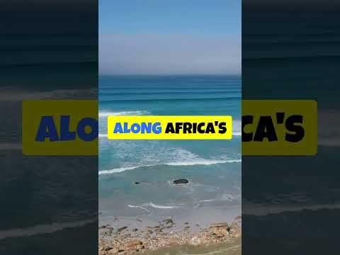Tour Africa: Your