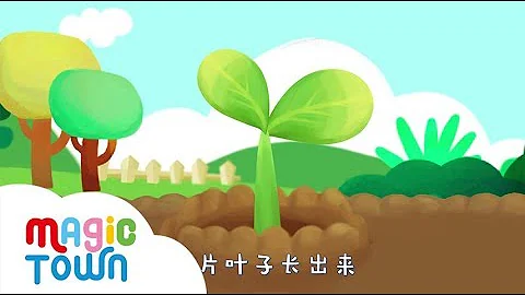 一片葉子長出來A leaf grows out 早教科普 趣味科普| 親子兒歌| 原創兒歌 | 兒童歌曲 | 兒歌音樂 | 麥傑克兒歌 - 天天要聞