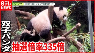 【感動】双子パンダ“335倍”抽選勝ち見た人は
