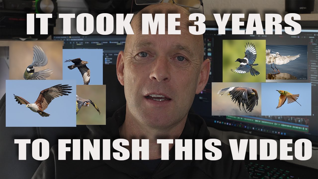 100 РАЗЛИЧНЫХ ВИДОВ ПТИЦ НА ФОТОГРАФИЯХ ПОЛЁТА. СМОЖЕТЕ ЛИ ВЫ НАЗВАТЬ ИХ ВСЕХ?