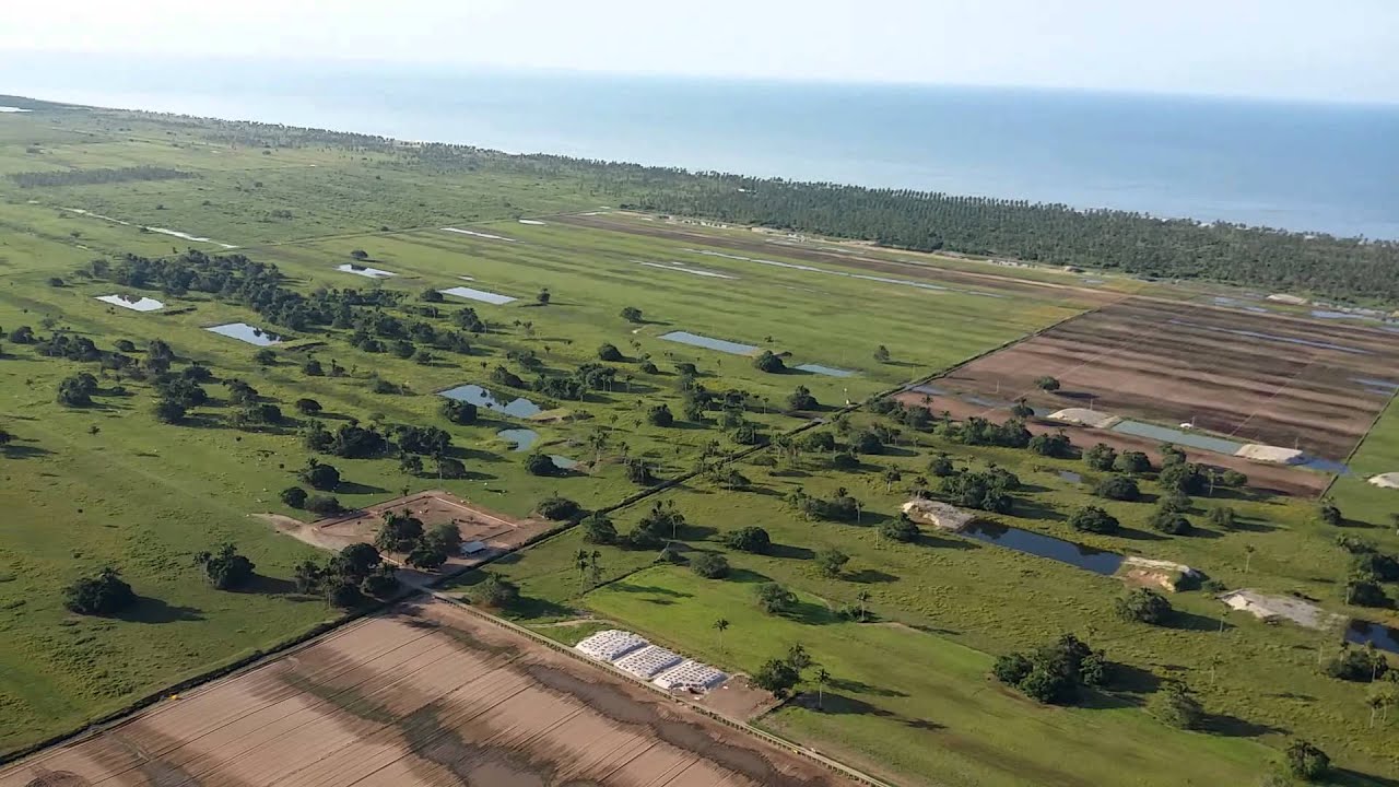 B J farms Oct 16 2014 YouTube