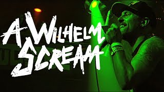A Wilhelm Scream | The Soft Sell | Pouzza Fest 8 screenshot 5