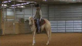 Shiners Lil Ann - 2/18/12