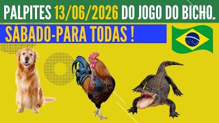 PUXADAS -CORUJA-NOTURNAS-PALPITES DIA 13/06/2026 | JOGO DO BICHO TODAS AS LOTERIAS-SÁBADO  !