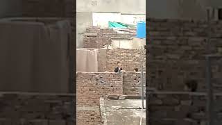 kite making part 1