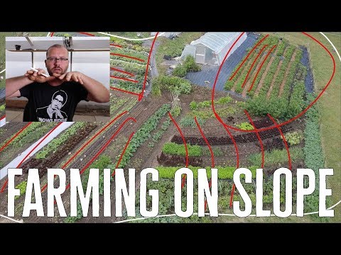 Video: Hur man odlar grönsaker på en sluttning
