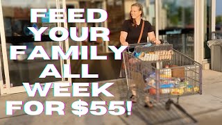 FEED THE FAMILY FOR $55! 💰SUMMER 2023 EXTREME BUDGET MEAL PLAN! #budgetmeals #frugalliving #recipe
