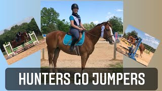 Horse Show Vlog! | 3 Chestnuts and a Bay