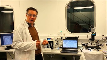 Sensor lab - flow electrochemical system