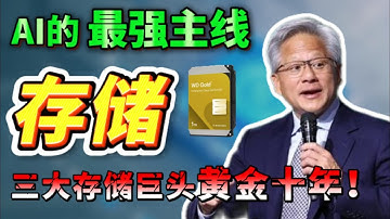别在只盯英伟达！三大存储厂商迎来黄金十年！谁是下一个十倍股? 不看后悔一辈子！WDC STX MU #美股 #纳斯达克 #领涨
