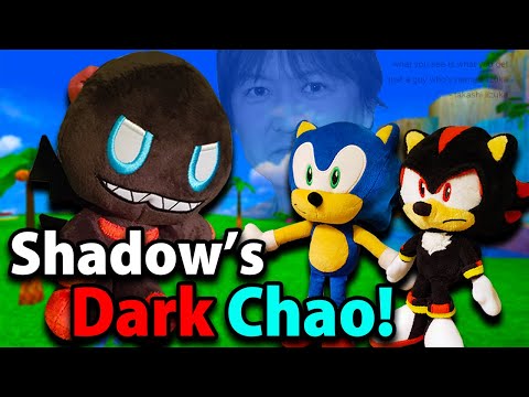 Sonic Zoom - Shadow's Dark Chao!