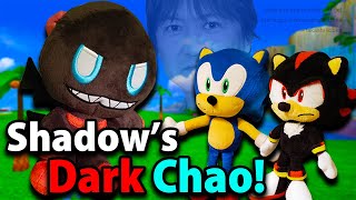 Sonic Zoom - Shadow's Dark Chao!