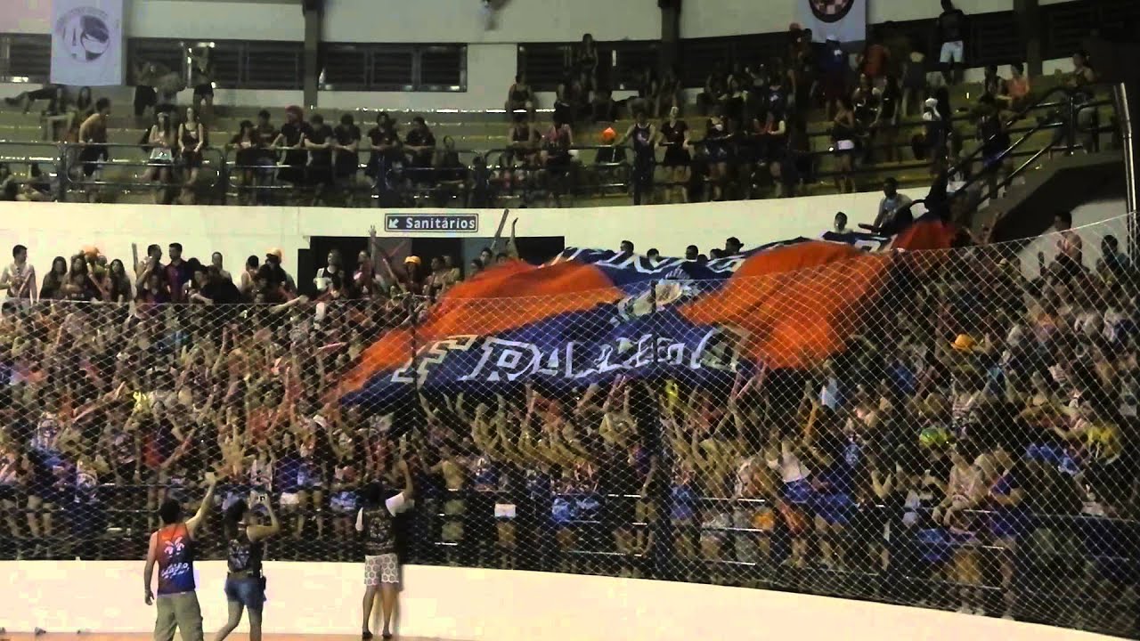 InterBotucatu 2014 - Bandeirão Unesp Franca