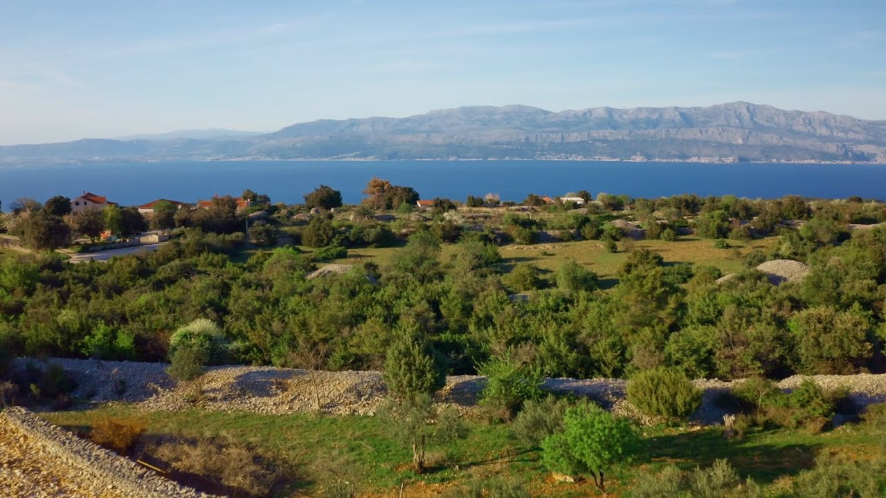 Dalmatinska marenda 11 - Škrip (Brač)