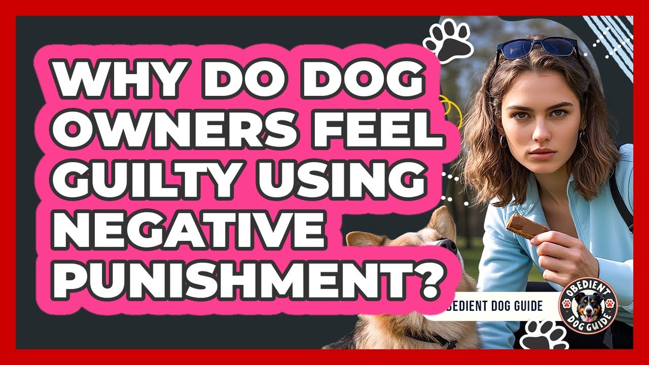 Why Do Dog Owners Feel Guilty Using Negative Punishment? - Obedient Dog Guide