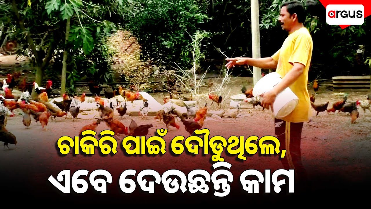 ଚାକିରୀ ପାଇଁ ଦୌଡୁଥିଲେ, ଏବେ ଦେଉଛନ୍ତି କାମ | Good News | Chicken Farming