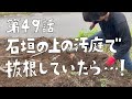 第49話　石垣の上の汚庭で抜根していたら◯◯なことが、、、！【CAT HOUSE DIY】