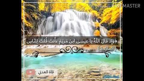 تلاوة خاشعة ..من سورة المائدة للقارئ حسان بكر حفظه الله