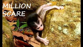 Download Lagu SO SO PITY..! Pity Baby Daniela mom abandon stay alone scare shaking body| Why Dana Walk out baby. MP3 Download Lagu SO SO PITY..! Pity Baby Daniela mom abandon stay alone scare shaking body| Why Dana Walk out baby. MP3
