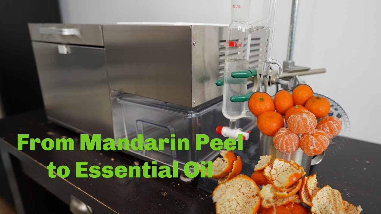 Make Mandarin Orange Essential Oil from Fruit Peel with LETIME ADI ...
