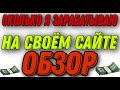 Сколько можно заработать на своем сайте | Показываю свой доход