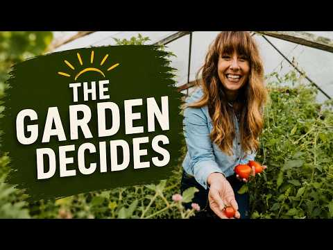 How to Feed Your Family From the Garden All Summer (Without Heating Up the Kitchen) | Episode 515
