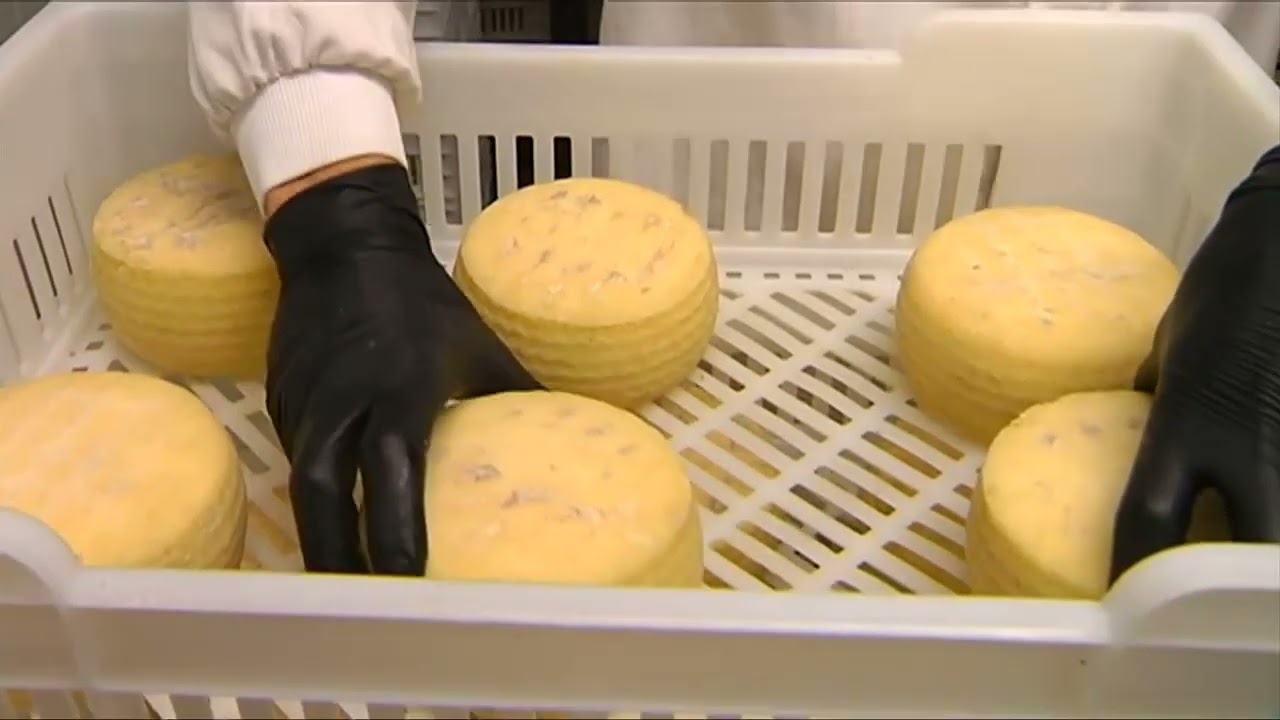 Finca Dehesa Frías, en Constantina,  modelo de producción ecológica y economía circular