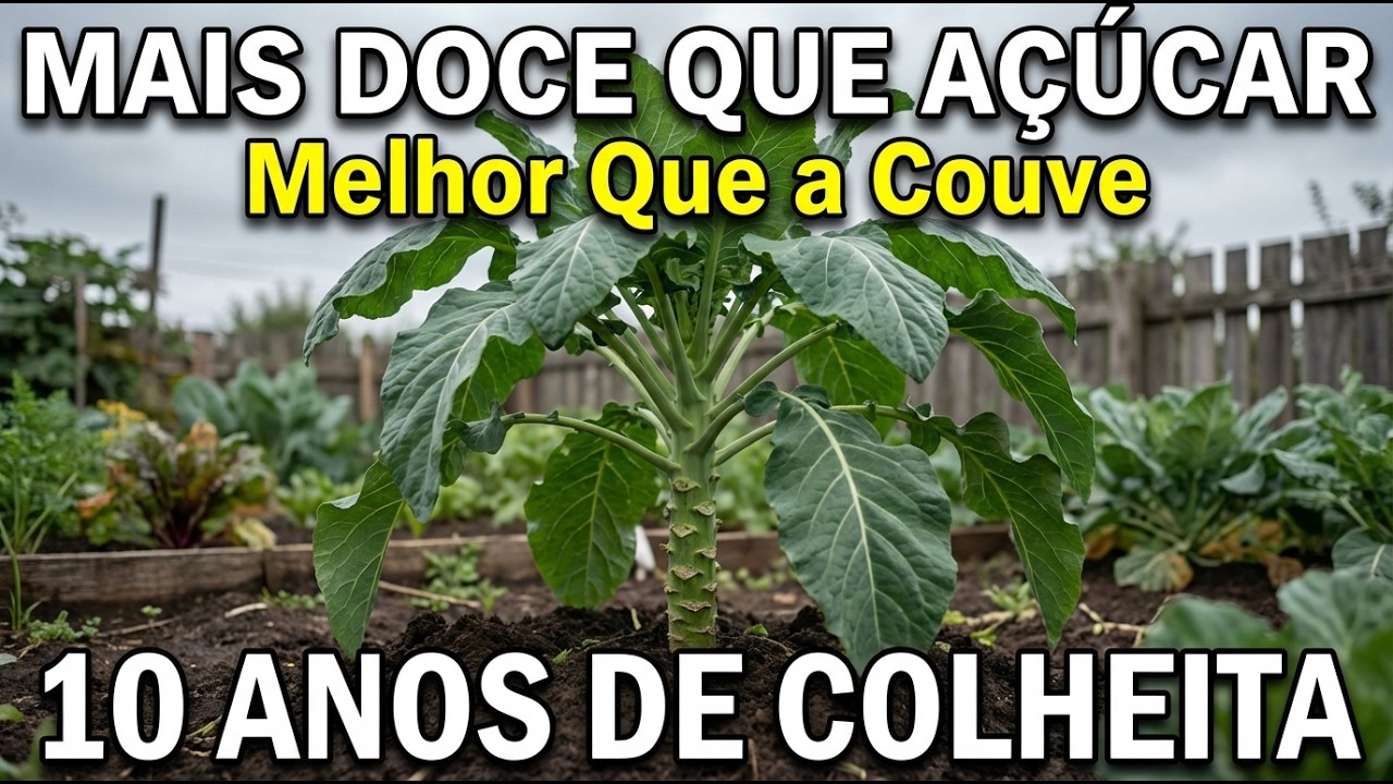 Melhor Que a Couve. O Doce “Imortal” Que Te Alimenta Por 10 Anos. (Não Compre Sementes)