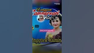 CAPING NGGUNUNG2 ECC ECC