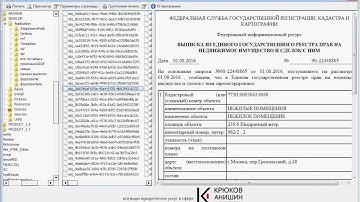 Просмотр выписок из ЕГРП, полученные с сайта Росрееста (в формате xml)