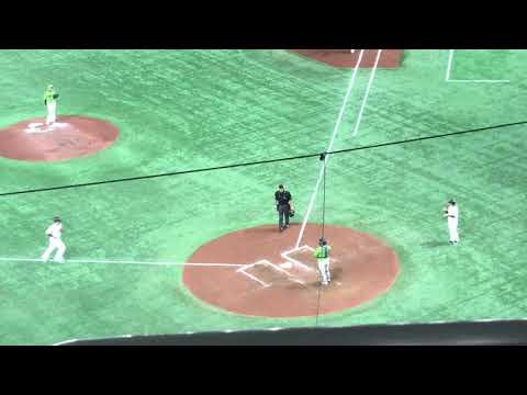 巨人、岡本和真21号