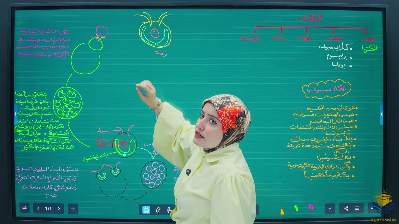 التكاثر في الكلاميدوموناس/الفصل الثالث/المحاضرة8/ احياء السادس الاعدادي /أ. رنين ادريس الطائي 