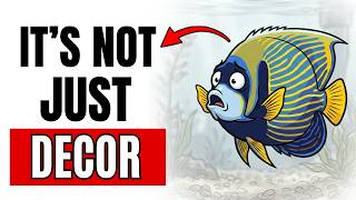 The 7 Things Your Fish Wishes It Could Tell You