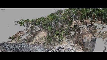 VIDEO POINT CLOUD