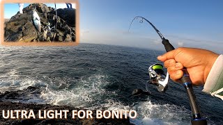Ultra-Light  Set-up for Big Bonito | Ultra Light fishing | Shimano Nexave 3000 | Littma The One rod