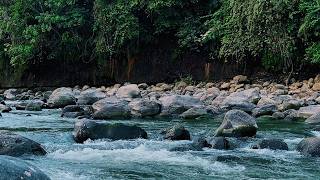 Gentle Big River Echo for Restful and Relaxation | sleep - relax - enjoy life - ASMR