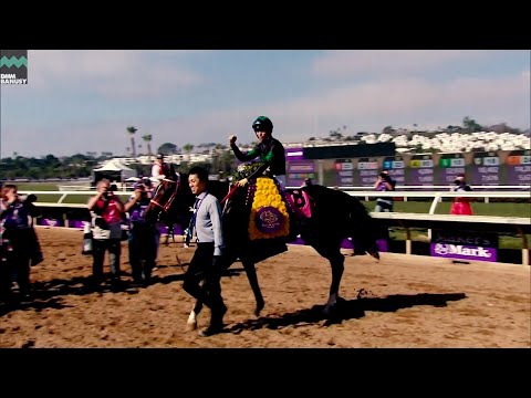 ラヴズオンリーユー】QE2C・BC・香港C 優勝記念祝賀会オープニング映像