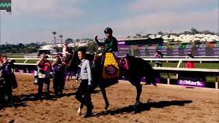 ラヴズオンリーユー】QE2C・BC・香港C 優勝記念祝賀会オープニング映像