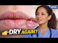 Why Are My Lips Always Dry? (Even in 2026)
