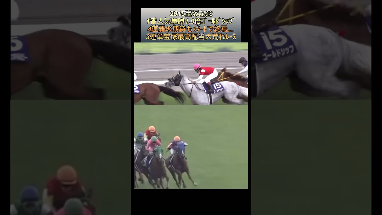 独特な ゴールドシップ 2015年 第56回 宝塚記念 現地単勝馬券