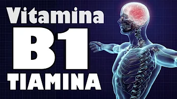 ¿Cuál es la función de la vitamina B1 en nuestro organismo?