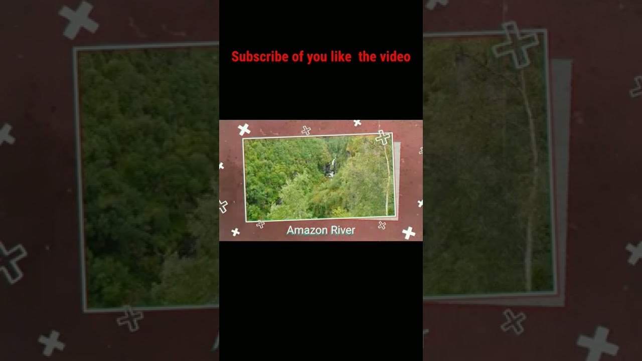 Why there is no bridge on Amazon River 