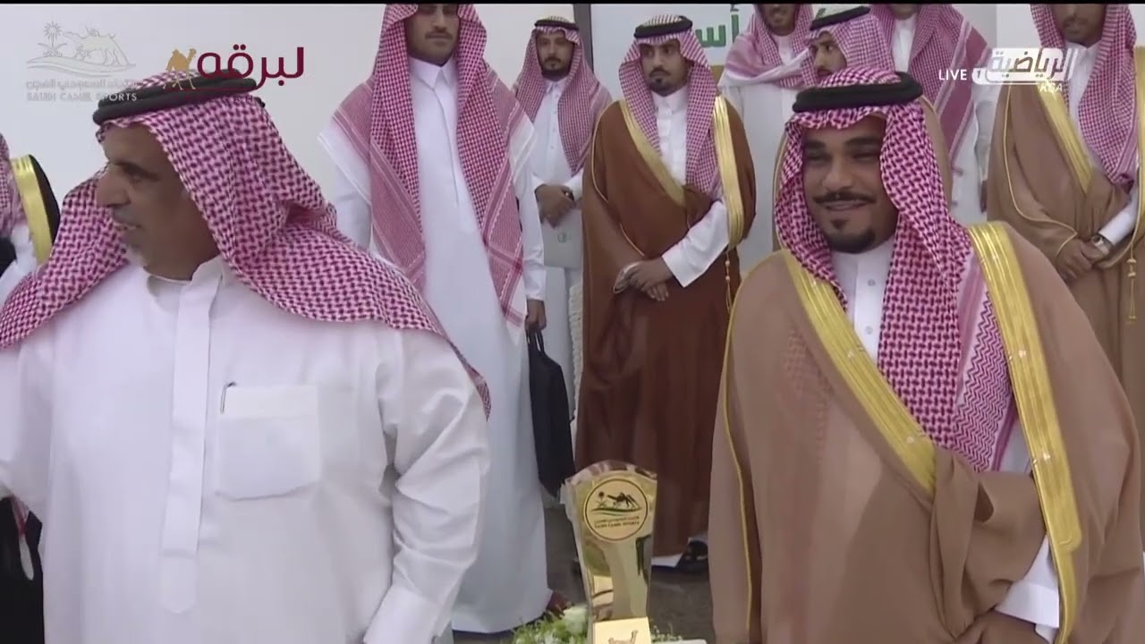 ملخص رموز الحيل والزمول بختامي كأس الإتحاد السعودي للهجن 5-10-2022