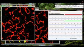 ImageJ Color Separation Demo