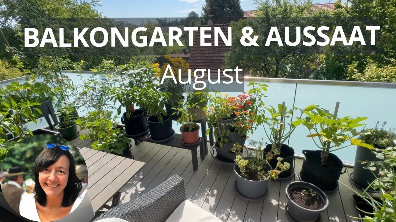 Balkongarten im August 2025: Rundgang und Aussaaten