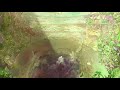 Made in Abyss OST 1: 09. Underground River (opening version ft. Raj Ramayya) (with Lyrics)