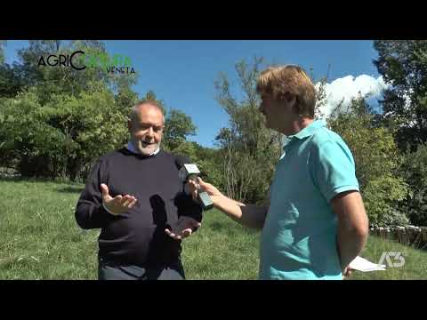 AGRICULTURA VENETA  | 25/09/2022