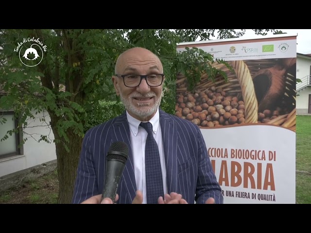 Tonda di Calabria: primo festival della nocciola