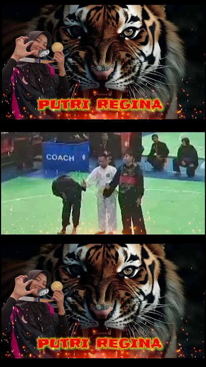 PENCAK SILAT #viral #youtube #pencaksilatcimande #fyp