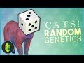 CATS! Random Genetics CHALLENGE (Sims 4)